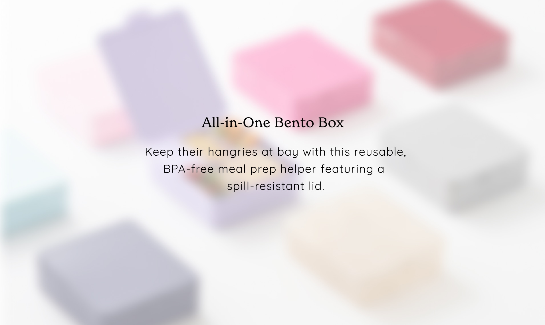 All-in-One Bento Box