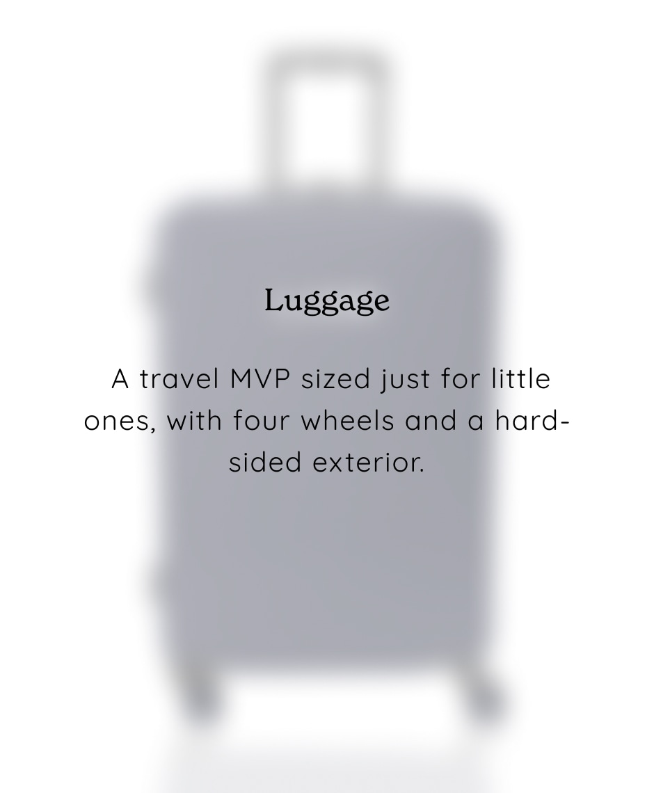 Luggage