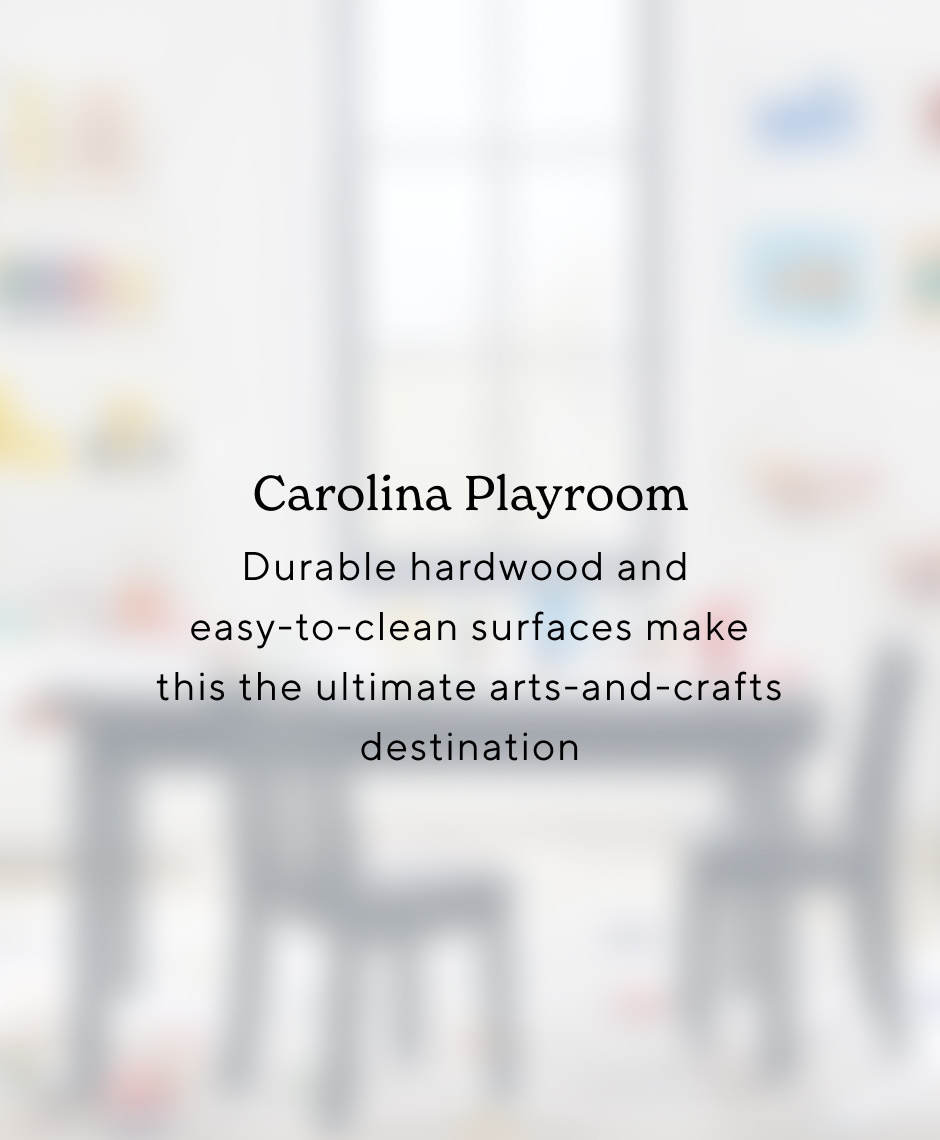 Carolina Playroom