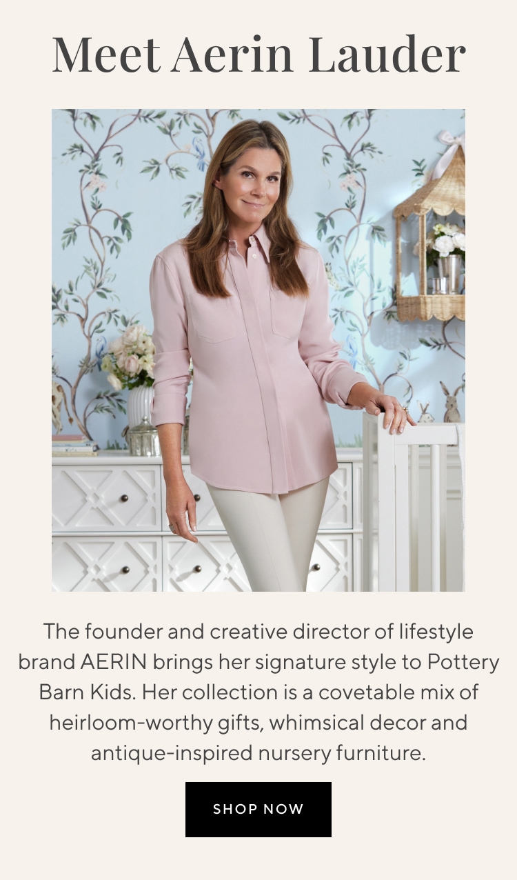 AERIN Pottery Barn Kids