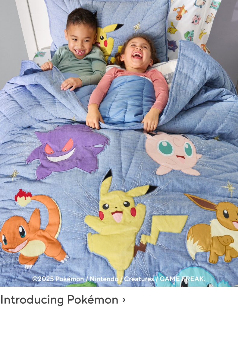 Introducing Pokémon