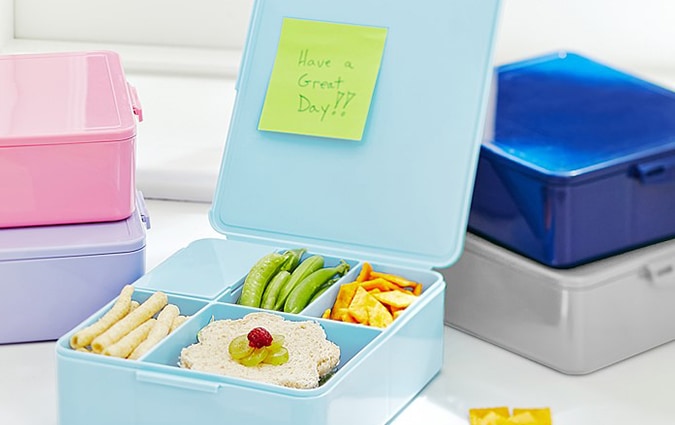 All-in-one recycled bento-box