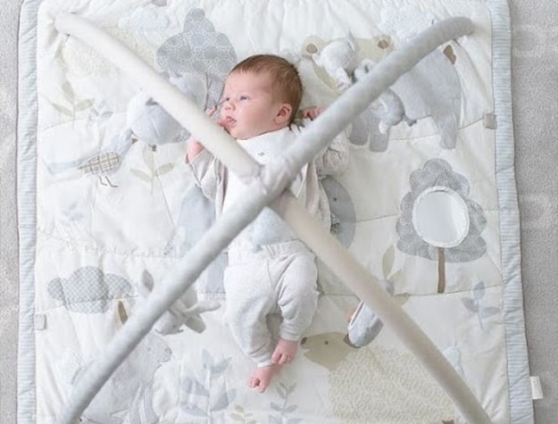 Baby in animal activity gym