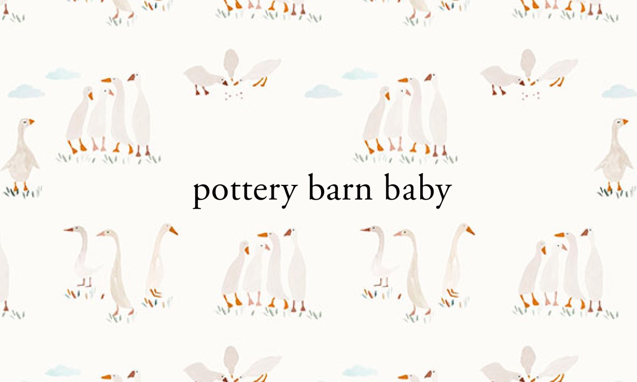 Sweet Geese egift Card