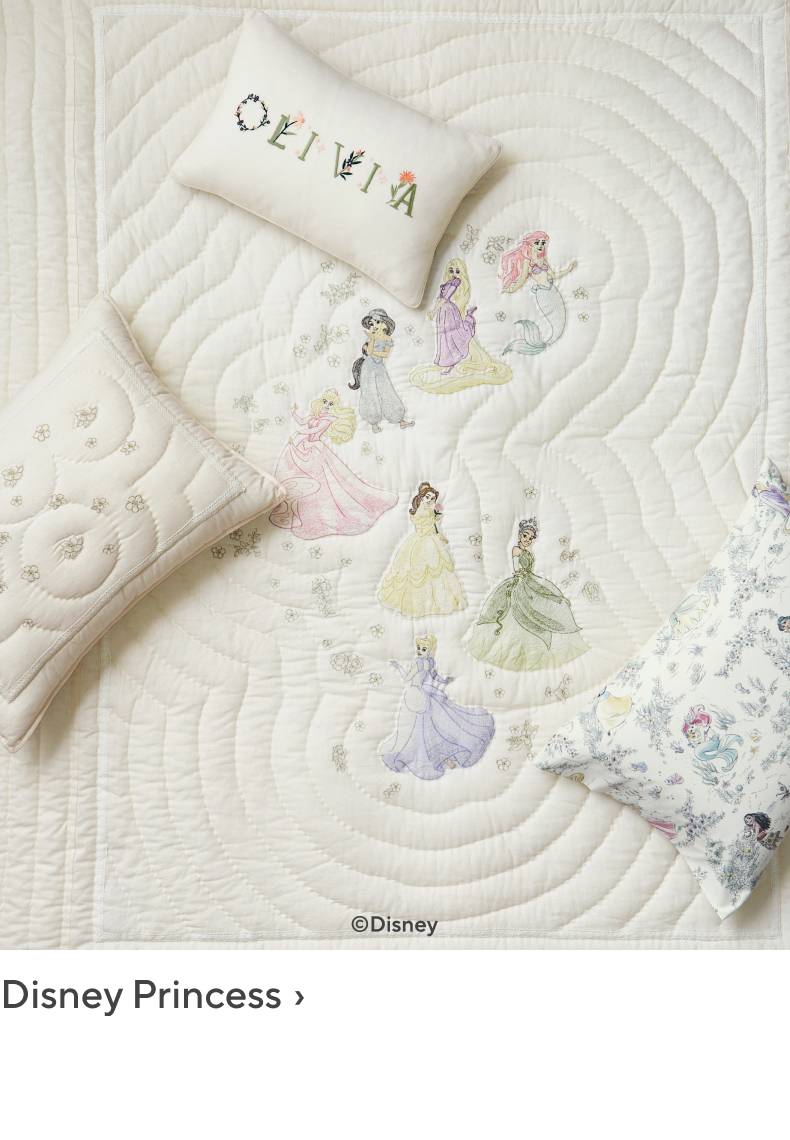 Disney Princess