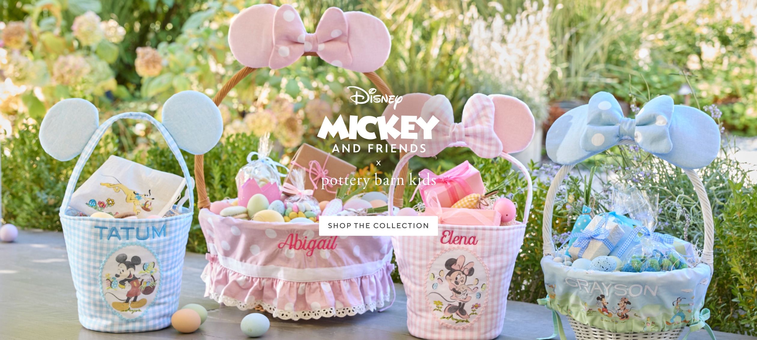 Disney Mickey & Friends