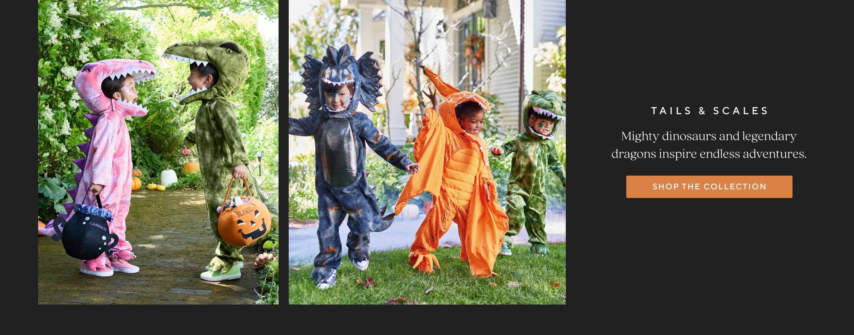 Halloween Collections