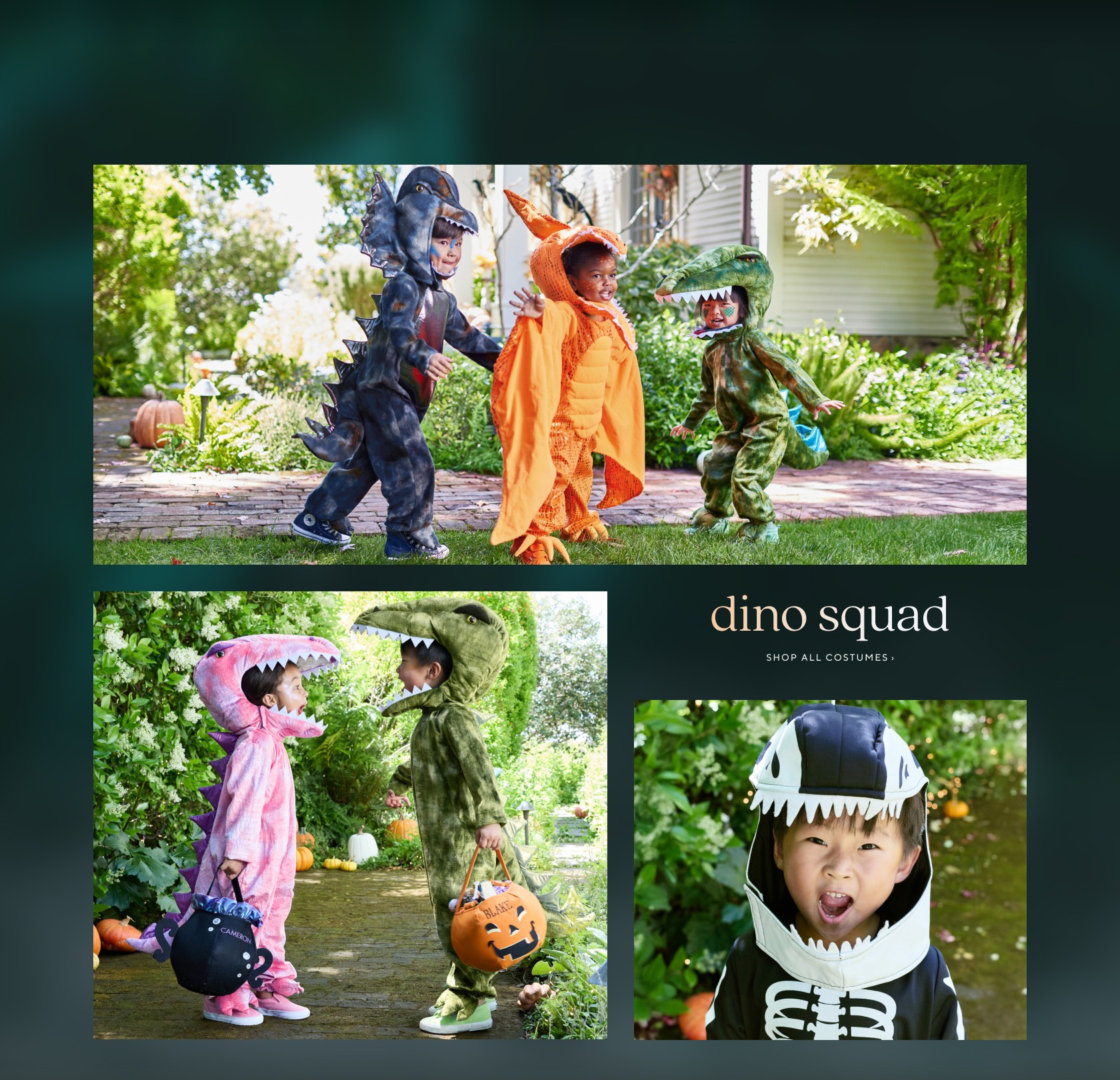 dino squad - shop all costumes