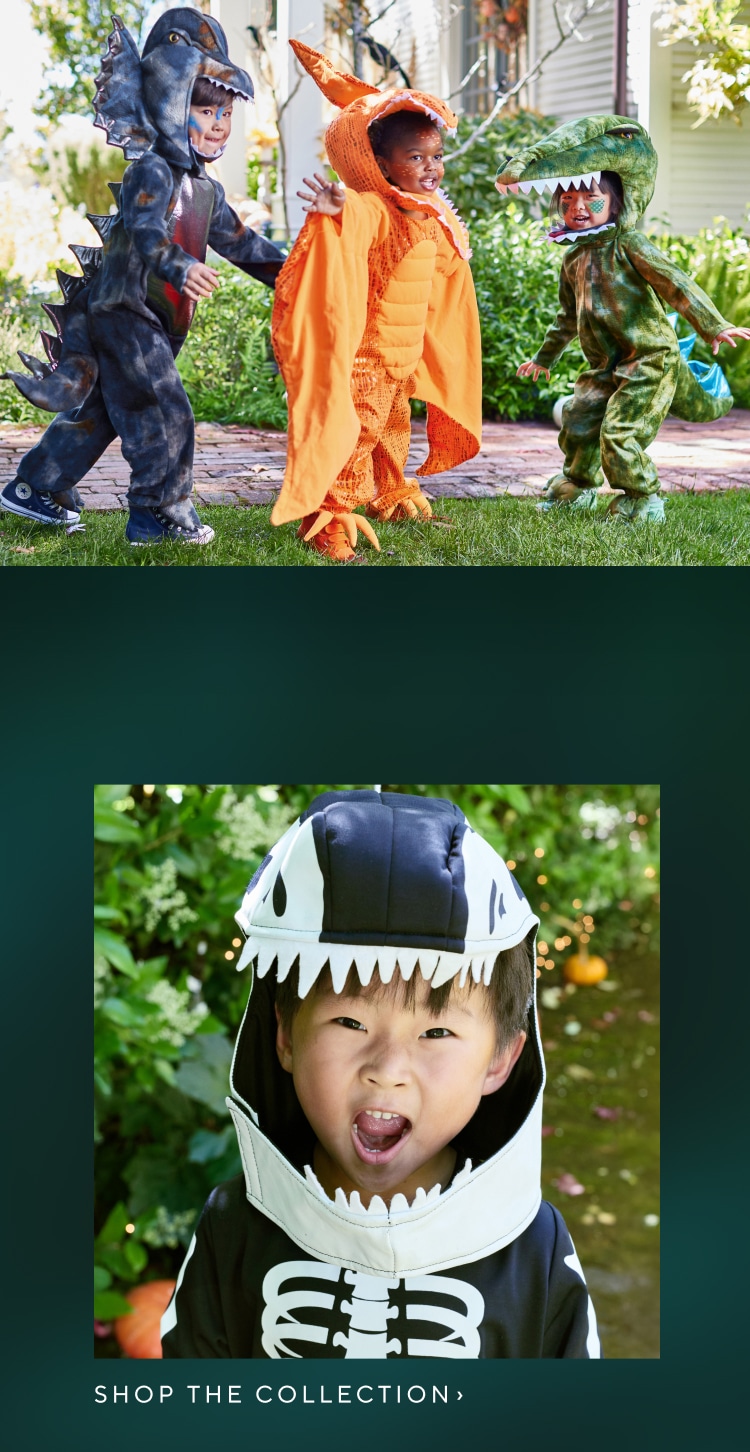Halloween Shop: Kids Costumes & Décor | Pottery Barn Kids