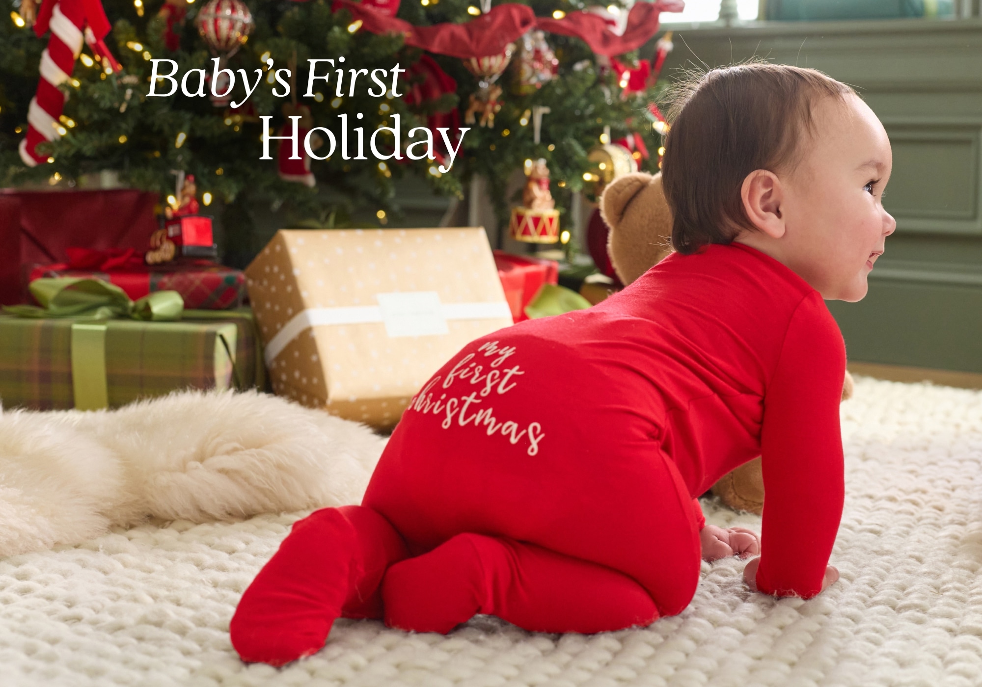 Baby's First Holiday