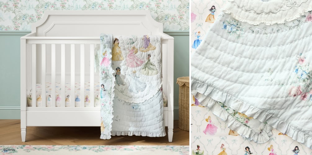 Disney Princess Enchanted