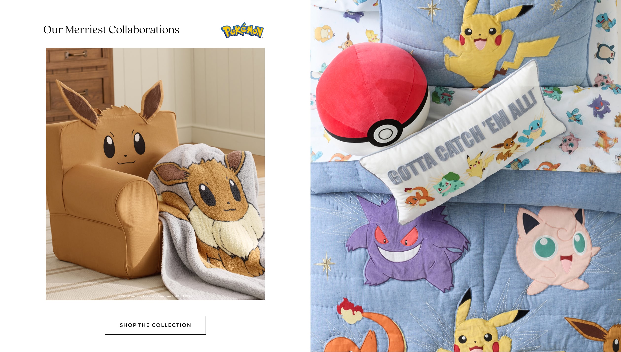 Pok&eacute;mon