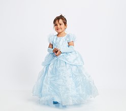 princess cinderella costume