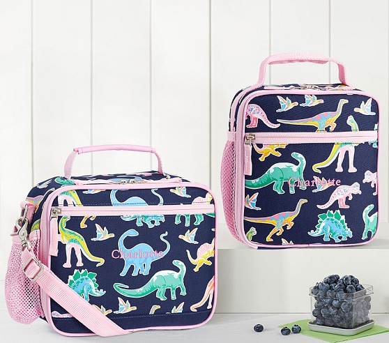 dinosaur backpack with lunchbox