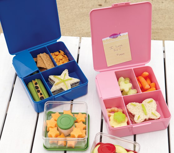 containers that fit in pottery barn lunch box