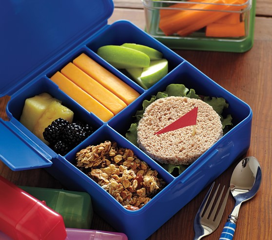 containers that fit in pottery barn lunch box