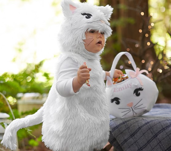 newborn cat costume