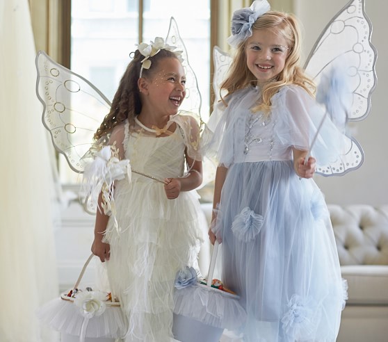 Monique Lhuillier Blue Fairy Halloween Costume For Kids Pottery Barn Kids