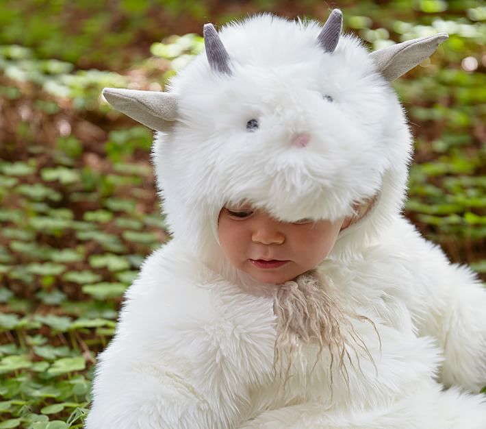 Baby Goat Costume Pottery Barn Kids