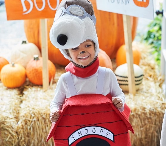 Toddler Snoopy 3d Dog House Halloween Costume Pottery Barn Kids