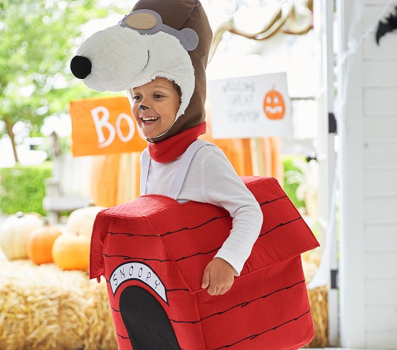 Toddler Snoopy 3d Dog House Halloween Costume Pottery Barn Kids