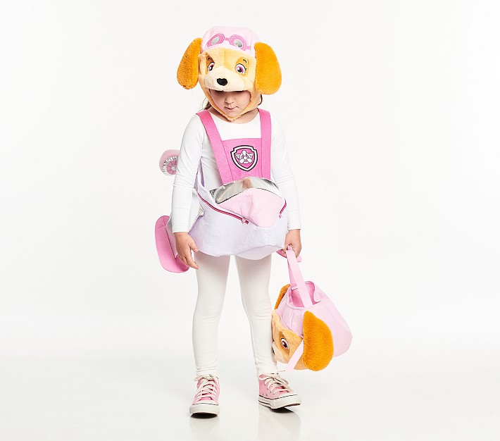 Kids Patrol™ Skye Halloween Costume | Barn