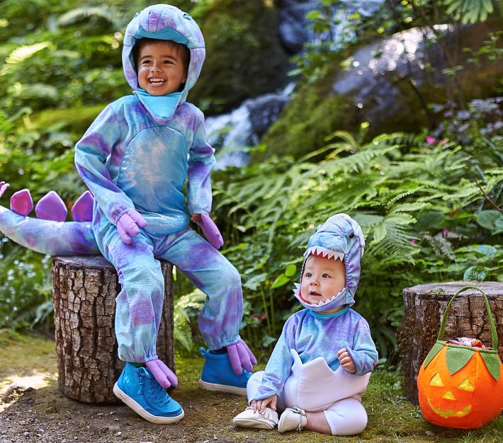 Baby Blue Dinosaur Egg Costume Pottery Barn Kids