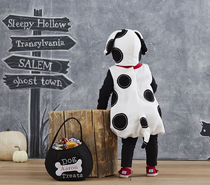 Baby Puppy Costume Pottery Barn Kids