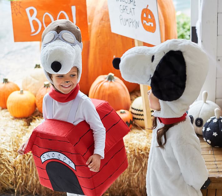 Kids Snoopy® Costume | Pottery Barn Kids