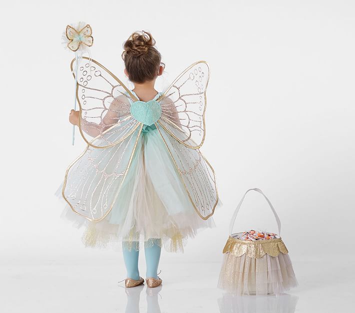 Pottery Barn Fairy Costume