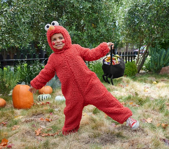 sesame street costumes for kids