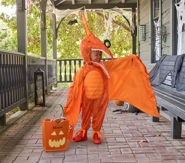 Pottery Barn Dinosaur Costume