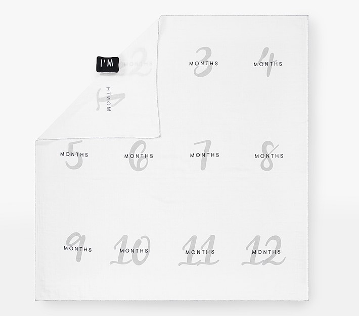 Milestone Baby Blanket Pottery Barn Kids