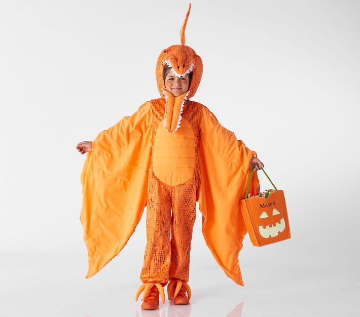 light up pterodactyl costume