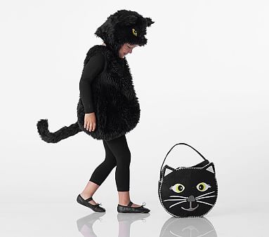 Pottery Barn Cat Costume