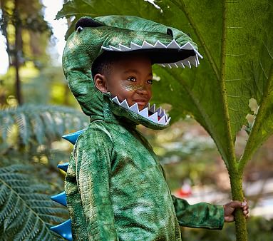 Kids Light Up T-rex Costume 