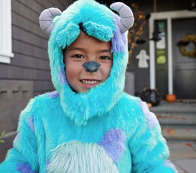 Kids Disney and Pixar Monsters, Inc. Sulley Costume | Pottery Barn Kids