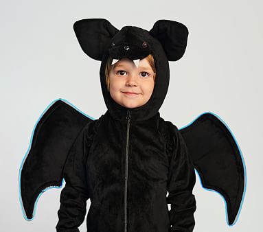 Kids Light Up Wire Bat Halloween Costume | Pottery Barn Kids