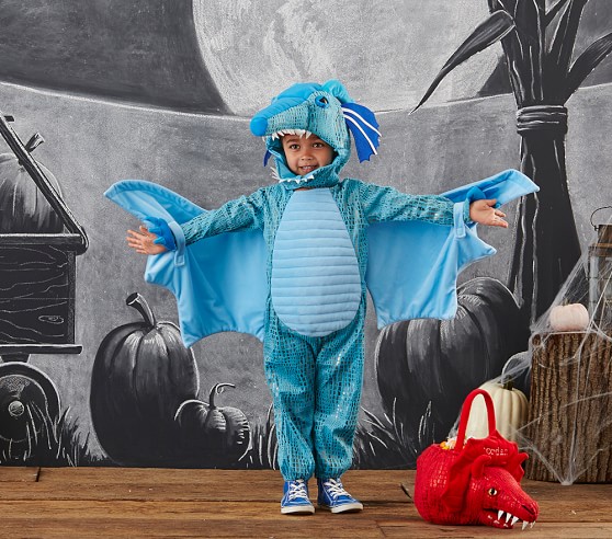 Kids Blue Dragon Costume Pottery Barn Kids