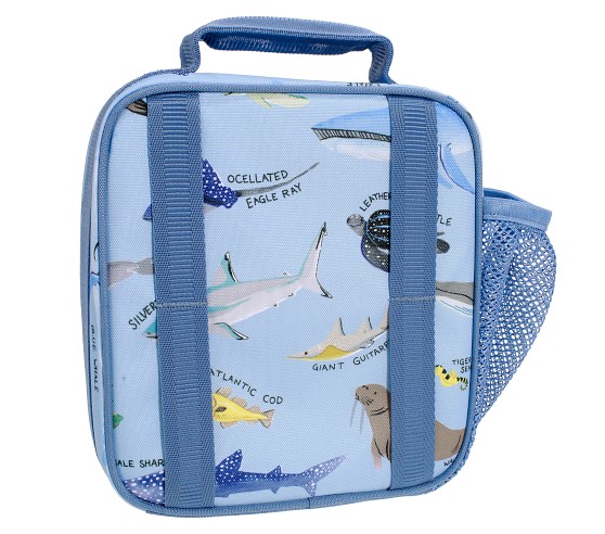 Mackenzie Save Our Seas Lunch Boxes | Pottery Barn Kids