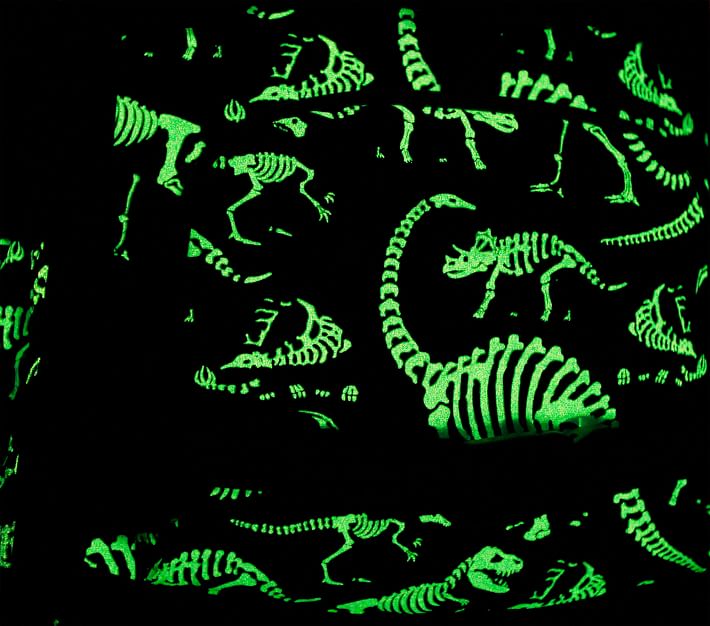 Dinosaur Bones Glow Fabric 