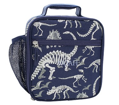 2 Pack Washable Reusable Paper Lunch Bags Insulated Dino Print 