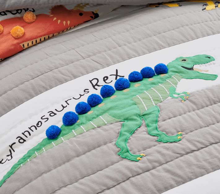 https://assets.pkimgs.com/pkimgs/rk/images/dp/wcm/202321/0035/finn-dino-quilt-shams-o.jpg