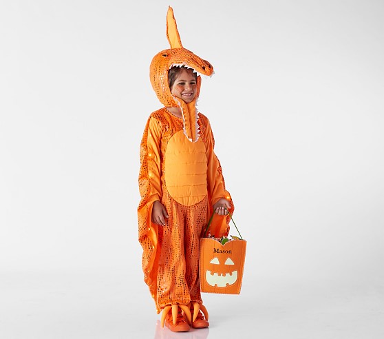 Child Pterodactyl Costume