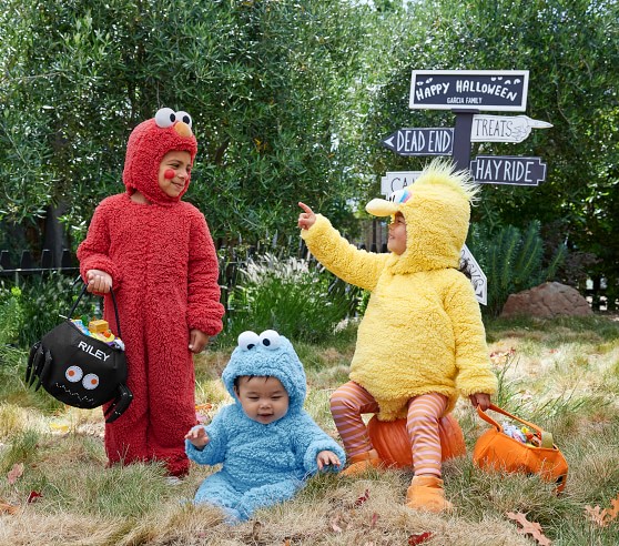 Toddler Sesame Street® Big Bird Costume