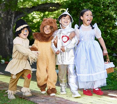 The Wizard of Oz™ Dorothy™ Costume | Pottery Barn Kids