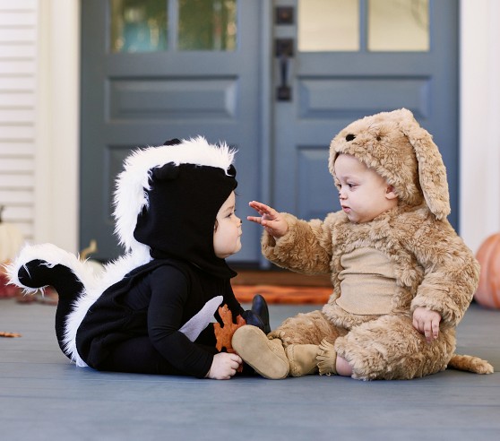 Pottery Barn Skunk Costume