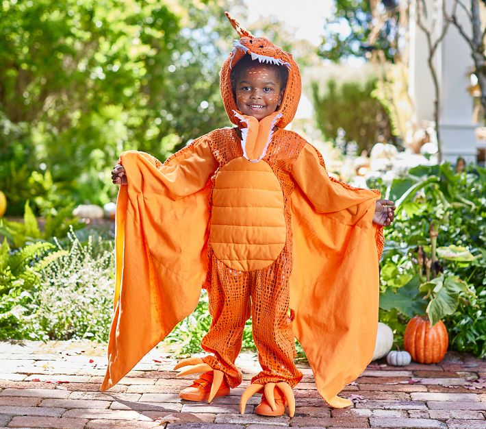 Child Pterodactyl Costume