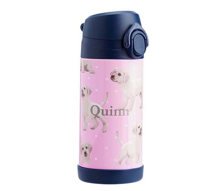 https://assets.pkimgs.com/pkimgs/rk/images/dp/wcm/202327/0042/mackenzie-pink-puppy-with-navy-trim-water-bottles-o.jpg