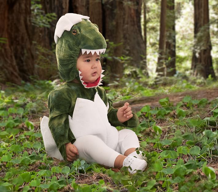 Baby Green Dinosaur Egg Halloween Costume
